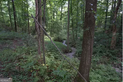 2170 Fork Creek Road, Bowman, GA 30624 - Photo 29