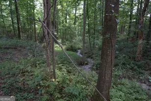 2170 Fork Creek Rd, Bowman, GA 30624 - Photo 29