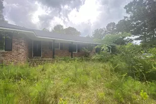 15923 Hwy 36, Covington, GA 30014 - Photo 3