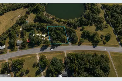 1001 Highway 221, Bartow, GA 30413 - Photo 1