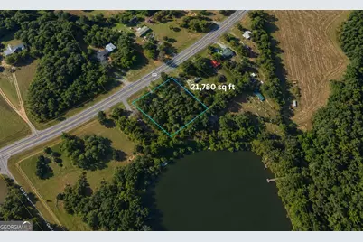 1001 Highway 221, Bartow, GA 30413 - Photo 3