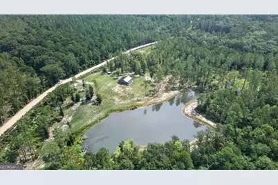 660 Old Manassas Foy Road, Register, GA 30452 - Photo 37