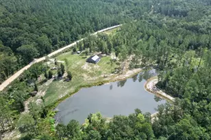 660 Old Manassas Foy Rd, Register, GA 30452 - Photo 37