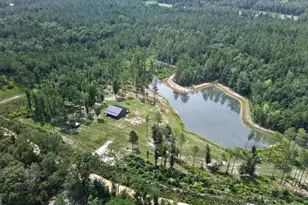 660 Old Manassas Foy Rd, Register, GA 30452 - Photo 35