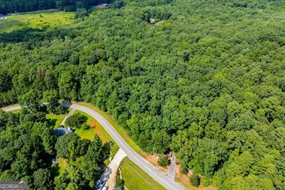 1001 Herrell Road, Villa Rica, GA 30180 - Photo 101