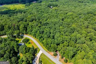 1001 Herrell Rd, Villa Rica, GA 30180 - Photo 101