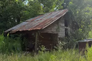 1007 Pleasant Grove Rd, Sandersville, GA 31082 - Photo 5