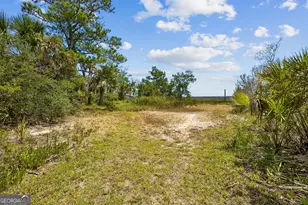 811 Park St, Saint Marys, GA 31558 - Photo 87