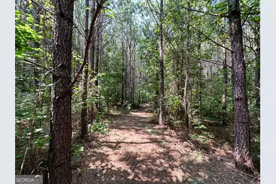0 Jordan Road #17.79 ACRES, Monticello, GA 31064 - Photo 25