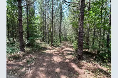 0 Jordan Road #17.79 ACRES, Monticello, GA 31064 - Photo 23