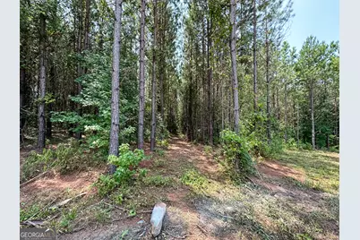 0 Jordan Road #17.79 ACRES, Monticello, GA 31064 - Photo 21