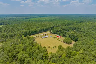 2449 Hb Dixon Rd, Sparta, GA 31087 - Photo 27