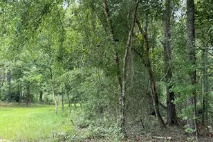 2449 Hb Dixon Rd, Sparta, GA 31087 - Photo 81