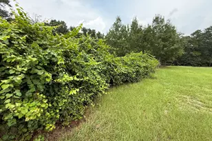 2449 Hb Dixon Rd, Sparta, GA 31087 - Photo 65
