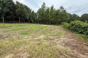 2449 Hb Dixon Rd, Sparta, GA 31087 - Photo 69