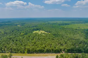 2449 Hb Dixon Rd, Sparta, GA 31087 - Photo 83