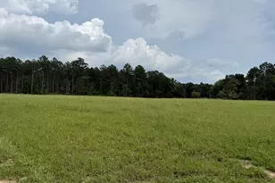 2449 Hb Dixon Rd, Sparta, GA 31087 - Photo 89