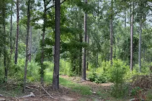 2449 Hb Dixon Rd, Sparta, GA 31087 - Photo 87