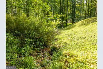 120 Shenendoa Drive, Ellijay, GA 30540 - Photo 39