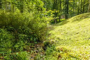120 Shenendoa Dr, Ellijay, GA 30540 - Photo 39