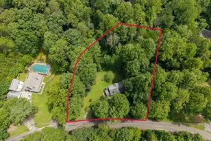 120 Shenendoa Dr, Ellijay, GA 30540 - Photo 53