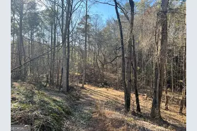 3 Old Miller Rock Road, Ellijay, GA 30540 - Photo 3