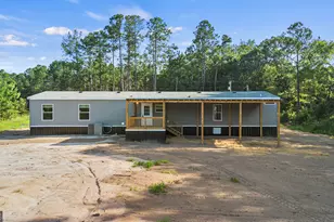 1225 Bradwell Dunham Rd, Ludowici, GA 31316 - Photo 27