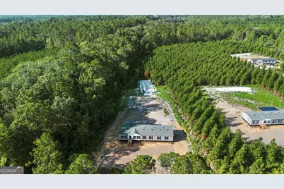 1225 Bradwell Dunham Road, Ludowici, GA 31316 - Photo 33