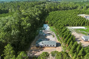1225 Bradwell Dunham Rd, Ludowici, GA 31316 - Photo 33