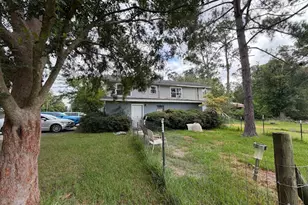 305 Holmesville Ave, Baxley, GA 31513 - Photo 3