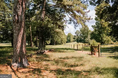 6 Burt Road, Carlton, GA 30627 - Photo 41