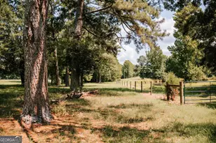 6 Burt Rd, Carlton, GA 30627 - Photo 41