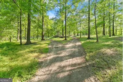 360 Davenport Road, Braselton, GA 30517 - Photo 13