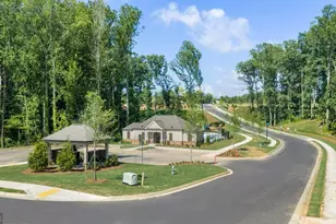 399 Grandview Dr, Dawsonville, GA 30534 - Photo 35
