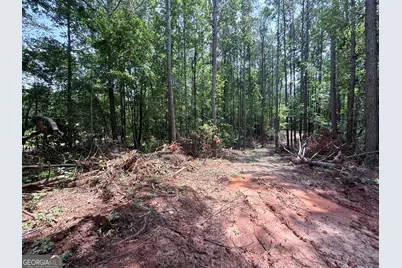 6887 Mt Zion Road, Waco, GA 30182 - Photo 3