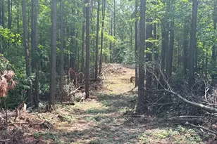 6887 Mt Zion Rd, Waco, GA 30182 - Photo 1