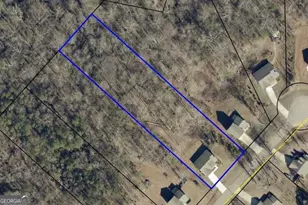 141 Conifer court, Winterville, GA 30683 - Photo 47