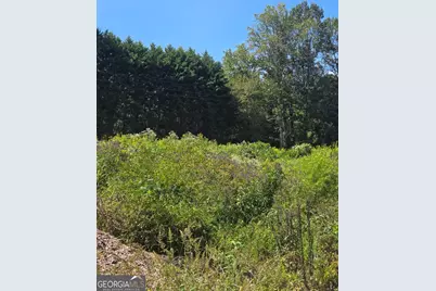 0 Highway 115 E, Cleveland, GA 30528 - Photo 5