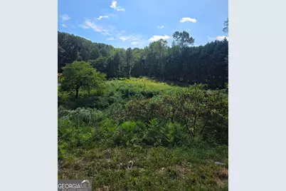 0 Highway 115 E, Cleveland, GA 30528 - Photo 7