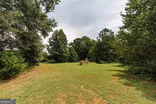 295 Jeremy Dr, Colbert, GA 30628 - Photo 39