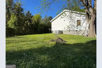 313 Carter Street, Greenville, GA 30222 - Photo 19