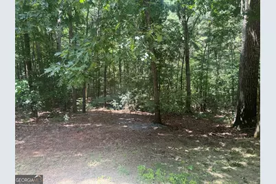 67 Wolfridge Court, Dallas, GA 30132 - Photo 29