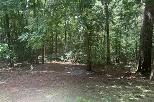 67 Wolfridge Ct, Dallas, GA 30132 - Photo 29