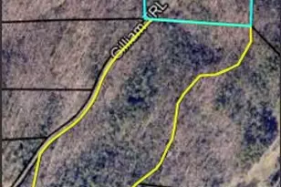 467 Gilliam Rd, Mineral Bluff, GA 30559 - Photo 21