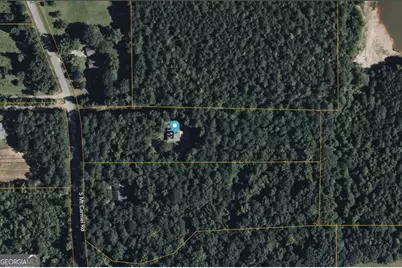 421 S Mount Carmel Road, McDonough, GA 30253 - Photo 63