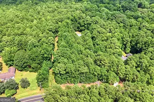 421 S Mt Carmel Rd, McDonough, GA 30253 - Photo 65