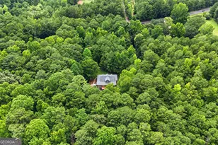421 S Mt Carmel Rd, McDonough, GA 30253 - Photo 63