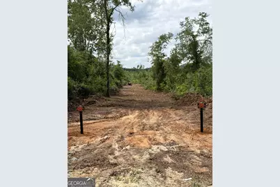 0 Hephzibah McBean Road, Hephzibah, GA 30815 - Photo 1
