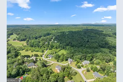 350 Linwood Drive, Demorest, GA 30535 - Photo 49
