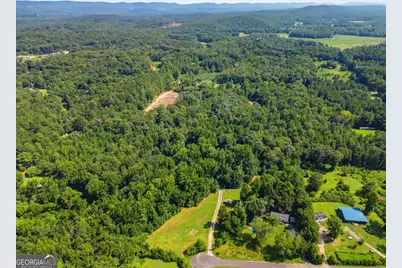 444 Nellie Lane, Trion, GA 30753 - Photo 29